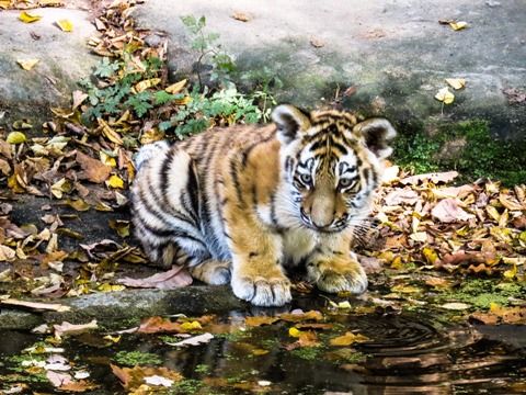 潜在意識に描かれたイメージには それを現実化させようとする力がある 小さなことにイライラせず 自分のイメージに集中しよう 小川健次ブログ