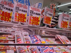 ダイレックス若葉町01-2