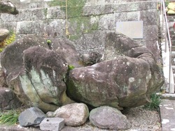 矢上神社01-3