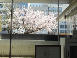 市立図書館01