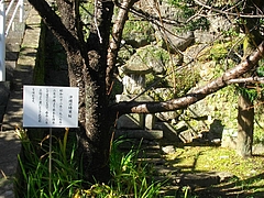 ��������10-2