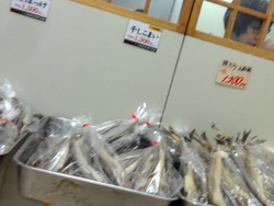 北海道展02