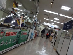 ����ʪ��Ÿ01-7