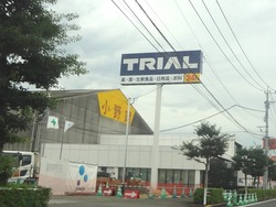 トライアル0826