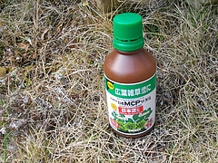 MCP