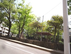 小峰町01-7