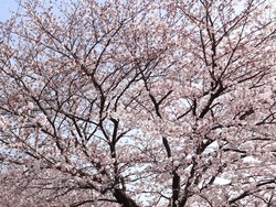 中尾城公園02-7