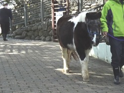 ��ˬ����02-3