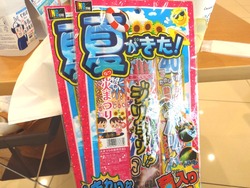 戴き物01