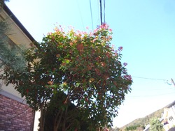 庭02-3