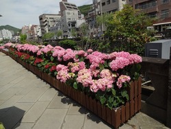 中島川01-3