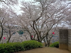 ���������01-5