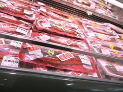 ダイレックス若葉町02-6