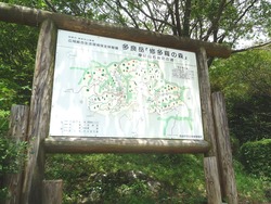 多良岳横断道路02