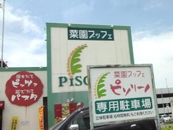 ¥µ¥ó¥¹¥ÑÂç¼01