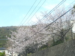 ¶á½ê¤Îºù01