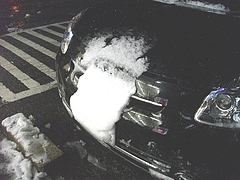 Ĺ��ƻ������ӥ�