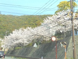 小江原02