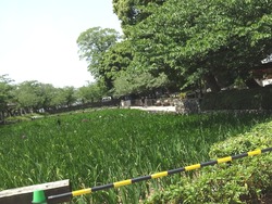 大村公園01