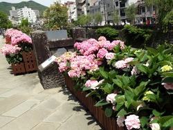 中島川01-2