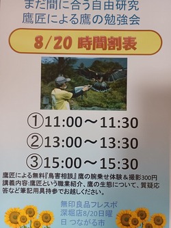 �ե쥹�ݿ���00