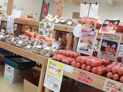 三浦線海沿いマルシェ01-9