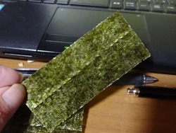 ̣�դ�����01-2