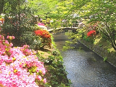 眼鏡橋03-5