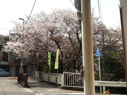 住吉02-2