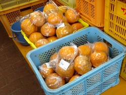 伊木力01-4