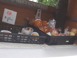 長与03-5