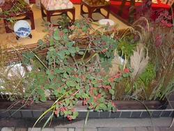万屋町08-2