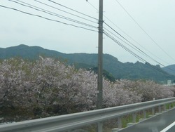 長与01