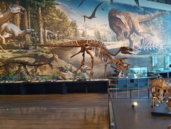 ��ε��ʪ��01-5