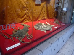 万屋町01-5