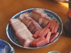孫02-4
