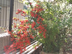 庭01-2