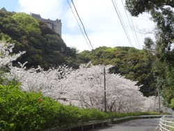 ���������00