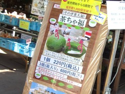 彼杵の荘01-4