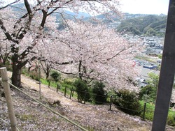 ���������01-7