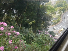 中尾城公園03-4