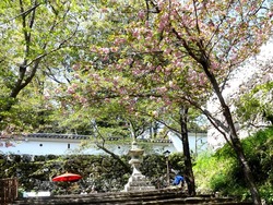大村公園01-7