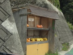 ĹͿ02