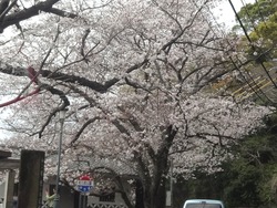 和三郎公園01-2