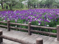 大村公園01-7