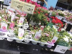 ナフコ時津店01-4