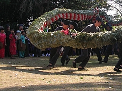 角上蛇踊01-4