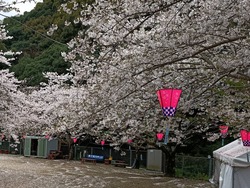 ���������01-5