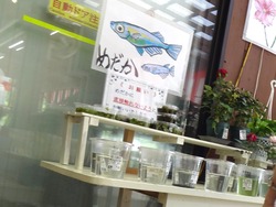 旬家01-5