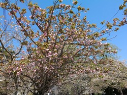 大村公園02-4